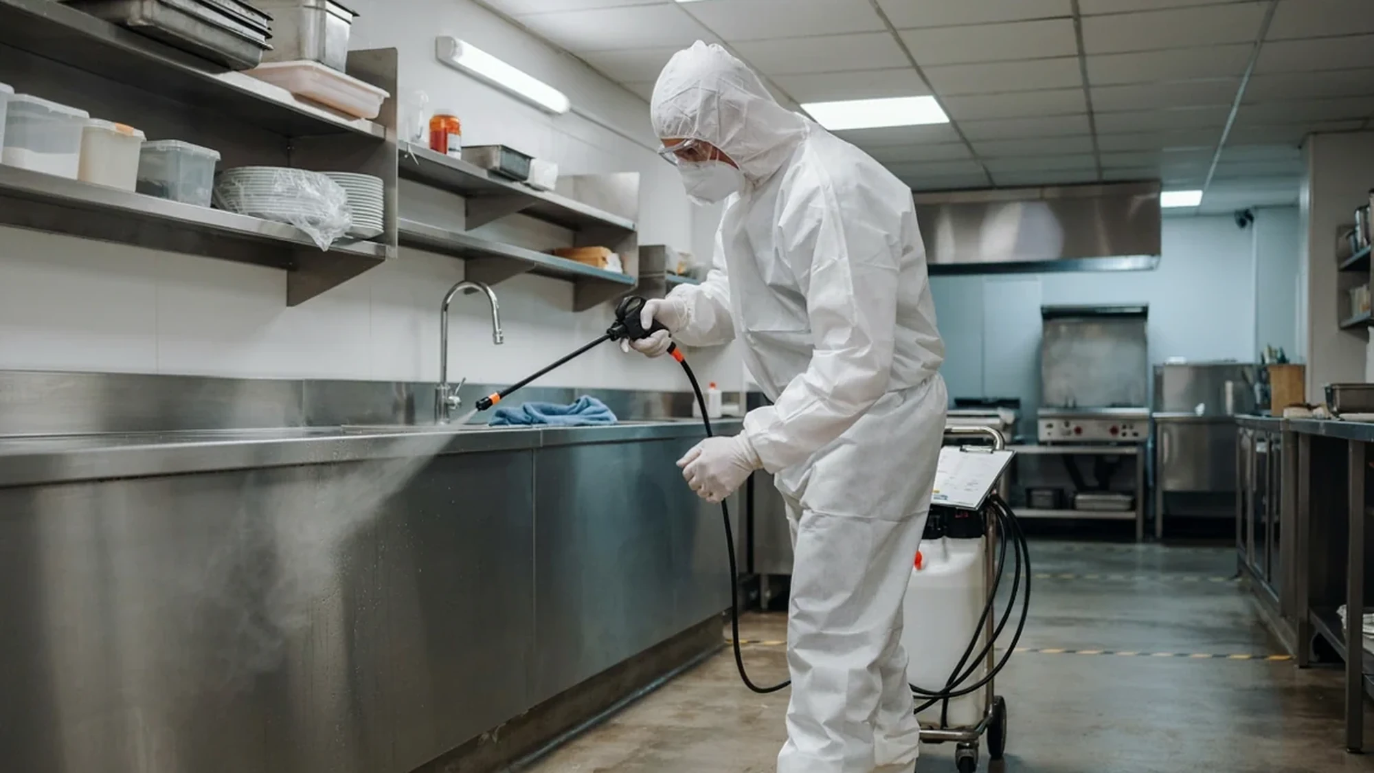 HACCP szerinti irtás egy étterem konyhájában, munka közben